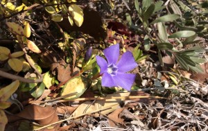 016028825a01a3303fd2799e535c0830bc852d9716