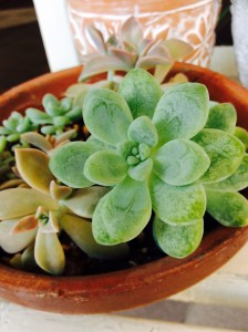 01e4b1613f9b40da76926cea69a412a1138f1fec5a